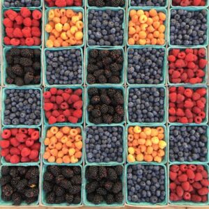 Foundations of Nutrition in Weight Loss